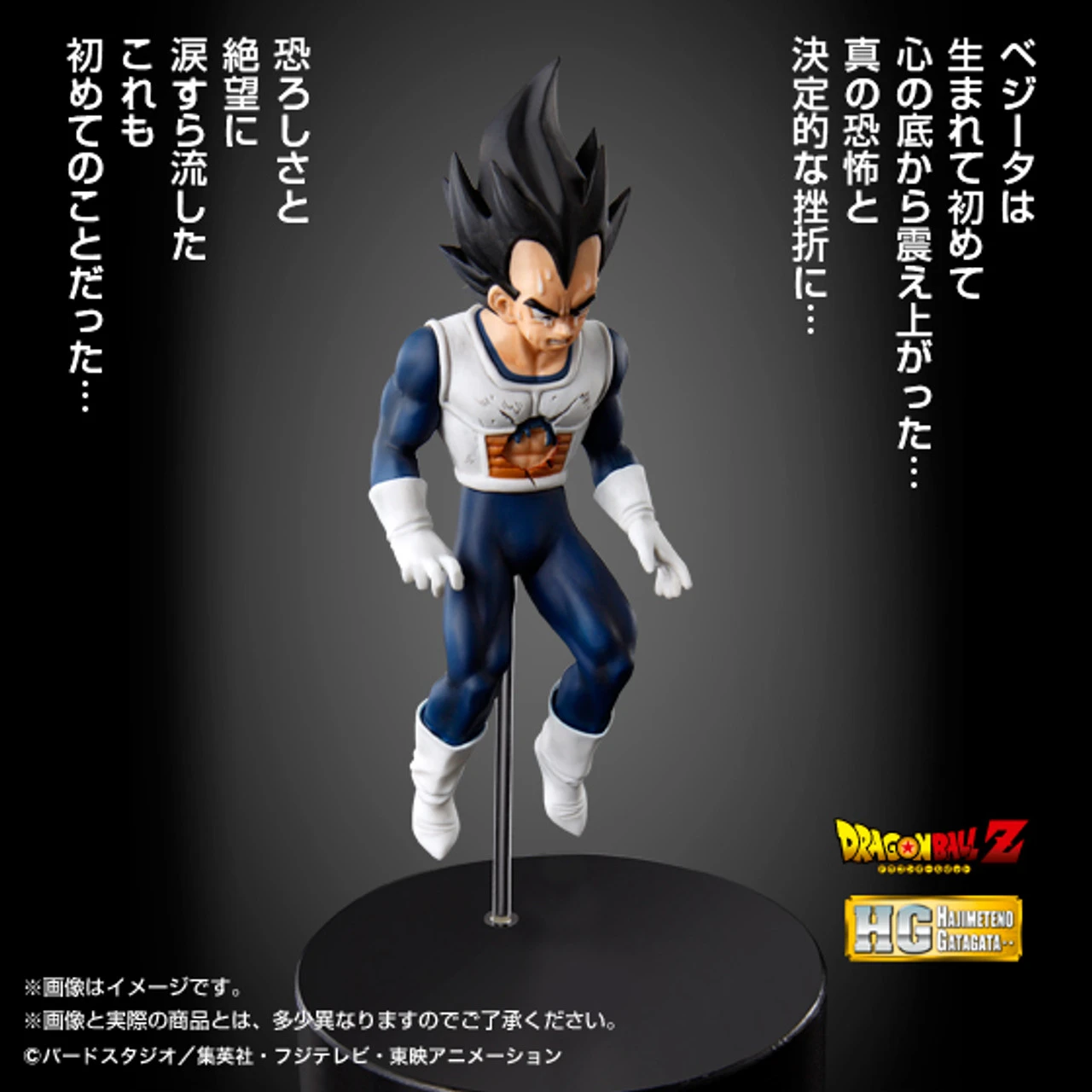 Bandai HG Vegeta PVC Figure 3 Bandai HG Vegeta PVC Figure