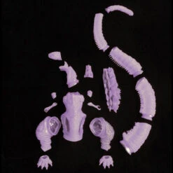 Bandai Toho Large Monster Series Shin Godzilla Soft Vinyl Assembly Kit (Roar Phosphorescent Purple Clear Ver.) -Toy Model Shop 1000111090 6 05171.1482218614