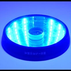 MegaHouse Precious G.E.M. Series Digimon Adventure Angewomon Holy Arrow Ver. (with Pedestal) -Toy Model Shop 1000127877 8 88602.1533807243