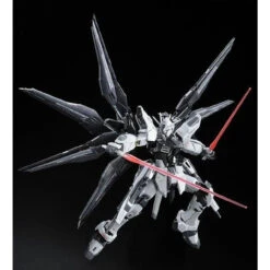 Bandai RG 1/144 Strike Freedom Gundam DEACTIVE Mode Plastic Model ( JAN 2023 ) -Toy Model Shop 1000128699 6 31159.1536306440